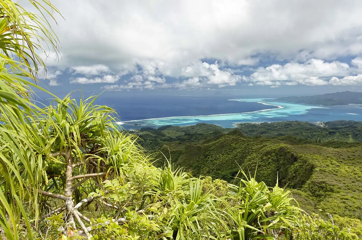 Randonnée guidée dans les sentiers de Tahaa